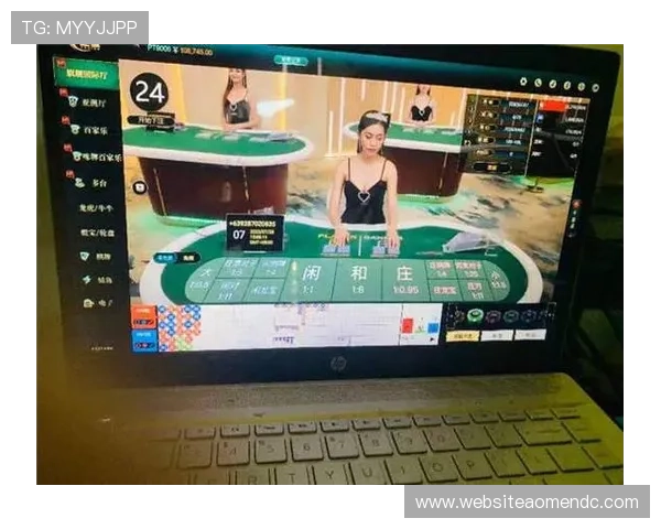 分析澳门赌场中年龄差异对赌客忠诚度及回头率的影响