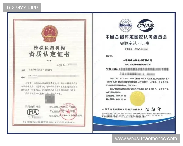 安全稳定的澳门六合彩app手机平台推荐，保障你的每一次投注权益